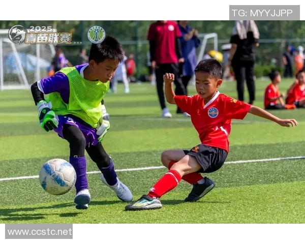 足球明星挑战科目三驾驶技巧与球场风范的完美结合 足球明星挑战科目三驾驶技巧与球场风范的完美结合