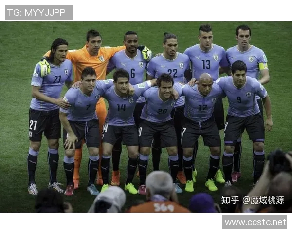 现役乌拉圭足球明星的辉煌成就与未来展望分析