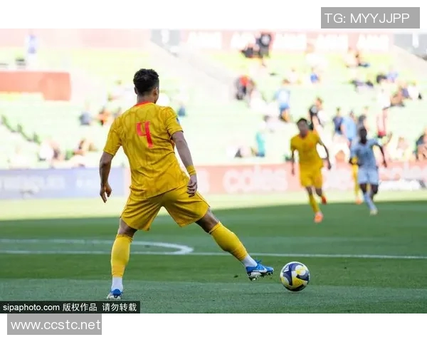 中国足球明星的魅力与影响力探讨国内球迷心目中的偶像与传奇