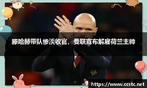 万博max官网