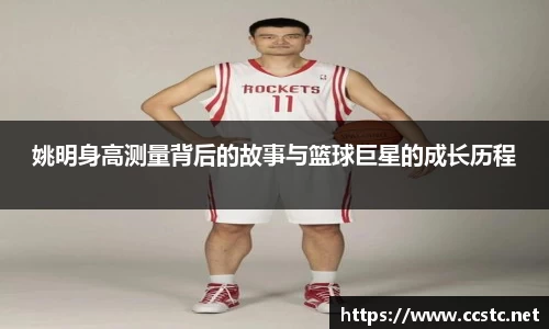 万博max体育官网入口