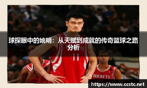 万博max体育官方网站