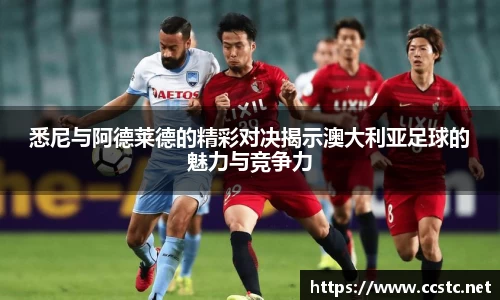 万博max体育官网入口