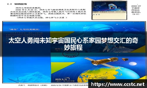 万博max首页