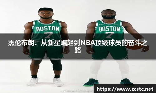 万博max体育官方网站